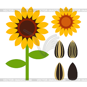 Sunflowers and seed symbol - vector clip art