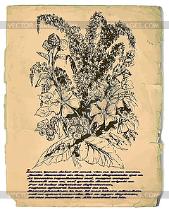 Card of bouquet of flowers on vintage pape - vector EPS clipart