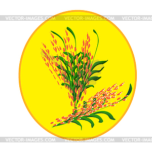 Wheat - vector image