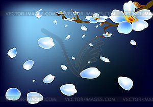 Cherry blossom - vector EPS clipart