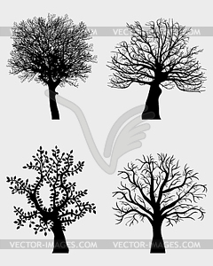 Дерево - рисунок в векторе
