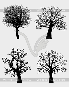 Tree - vector clip art