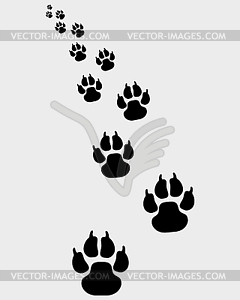 Footprints of dogs 2 - vector clipart