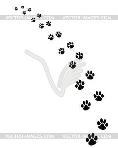 Footprints of dogs - vector clip art