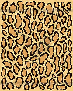 Skin of  leopard - vector image