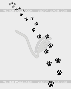 Trail of cat - vector image