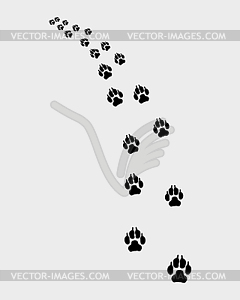 Trail of dog - vector image