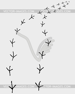 Trail of birds - vector clipart