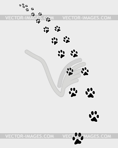 Trail of cat - royalty-free vector clipart