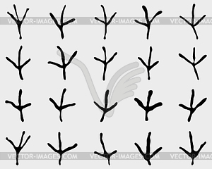 Traces of birds - vector image