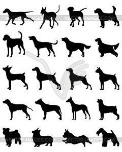 Собачки - графика в векторе