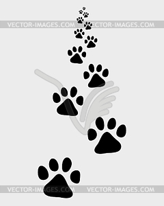 Trail of dog - vector clip art