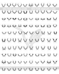 Deer horns - vector image