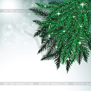 Fir tree branches and snowflakes on colorful - vector image