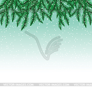 Fir tree branches and snowflakes on colorful - vector image