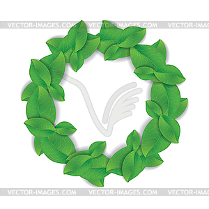 Green leaves wreath  - vector image