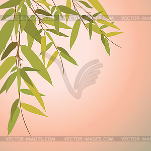 Bamboo trees and leaves at sunset time - color vector clipart