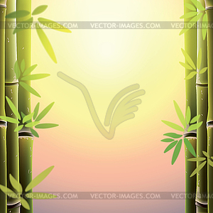 Bamboo trees and leaves at sunset time - vector clip art
