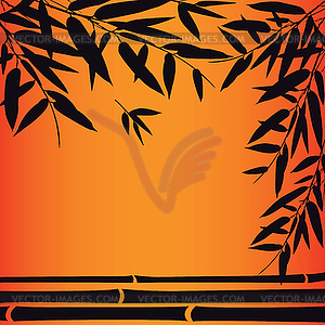 Bamboo trees and leaves at sunset time - vector image