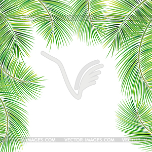 Palm tree branches - vector clip art