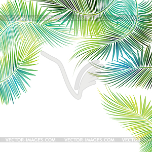 Palm tree branches - vector image