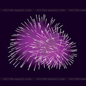 Violet fireworks on dark background - vector image