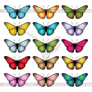 Set of butterflies  - vector clip art