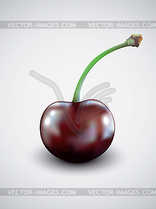 One cherry  - vector image