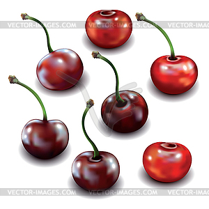 Set of cherries  - color vector clipart