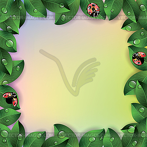 Ladybugs and leaves on colorful texture background - vector image