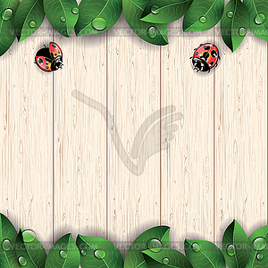 Ladybugs and green leaves on wooden background - vector image