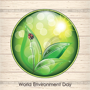 World environment day sign on wooden texture - vector image