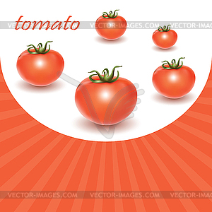 Red fresh tomatoes - vector clipart