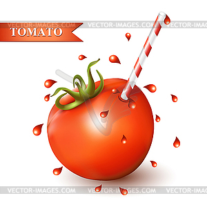 Red fresh tomato with tubule - vector image