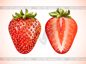 Red fresh strawberry - vector image