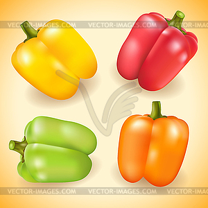 Collection of colorful sweet pepper - vector image