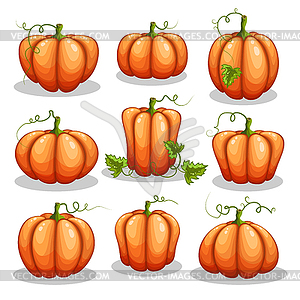 Set of Halloween pumpkins  - vector clip art