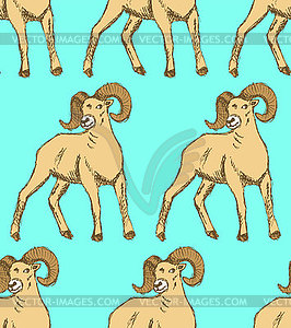 Sketch New Year ram in vintage style - vector clipart