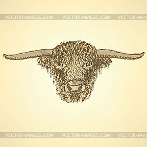 Sketch bull head in vintage style - vector clipart