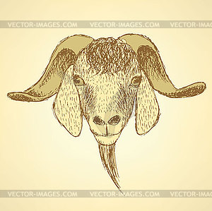 Sketch cute goat head in vintage style - vector image