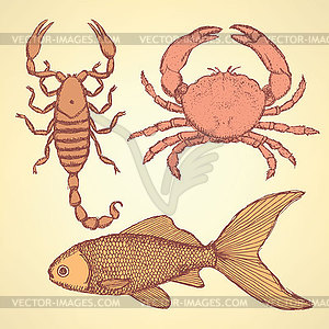 Sketch cute crab, scorpion and fish - vector image