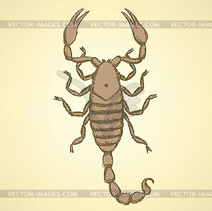 Sketch horrible scorpion in vintage style - vector clipart