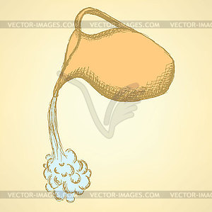 Sketch pitcher in vintage style - vector clipart