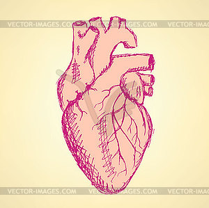 Sketch human heart in vintage style - vector image