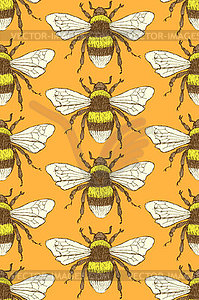 Sketch bumble bee in vintage style - vector image