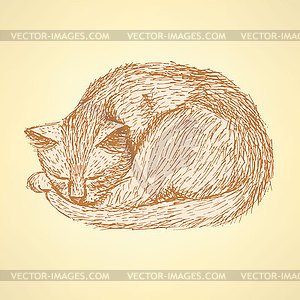 Sketch sleeping cat t in vintage style - vector clip art