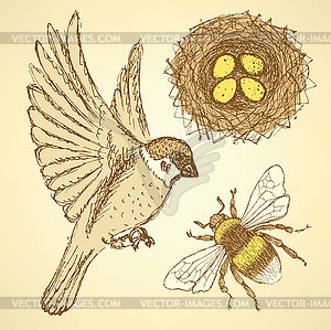Sketch set with sparrow, bee and nest in vintage - vector image