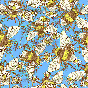 Daisy flower and bees - vector clip art