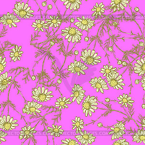 Дейзи цветок в стиле эскиза - векторный графический клипарт