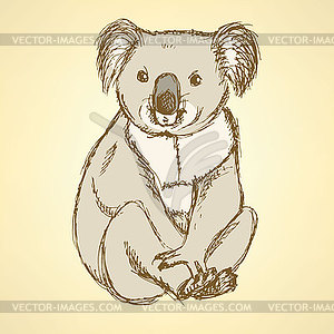 Sketch cute koala in vintage style - color vector clipart